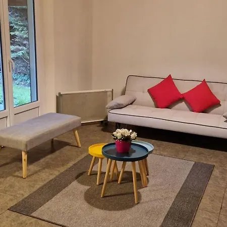 Maison Familiale 7 Chambres, 3 Salles De Bain * Sabres